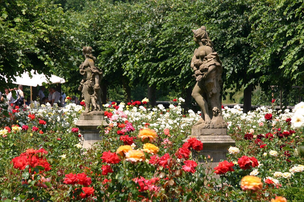 Illustration: Rosengarten